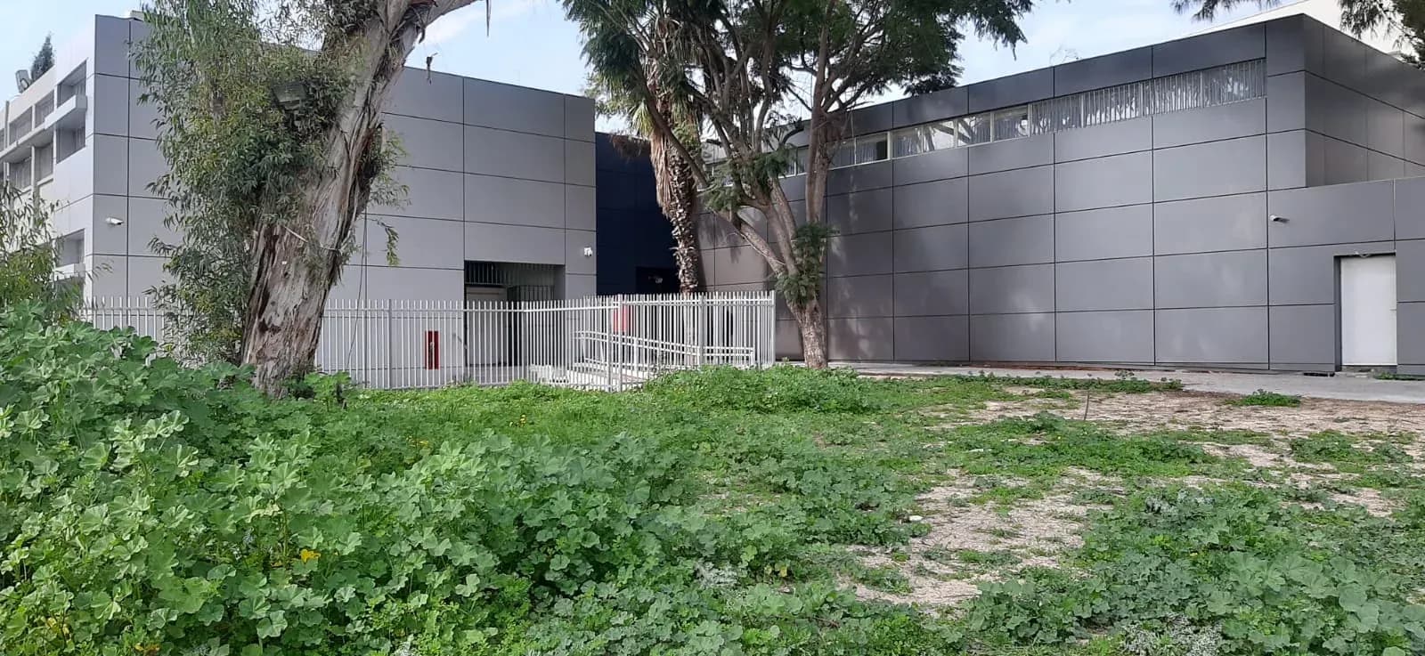 מבנה סניף זיו אור רמלה, מבט מהחצר